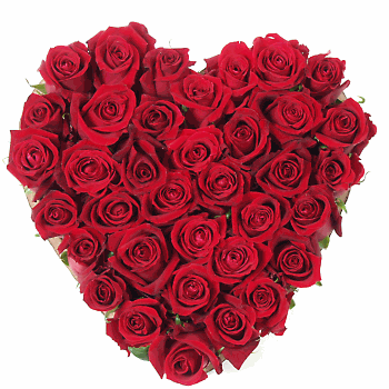 l amoure